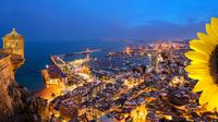 Alicante night view